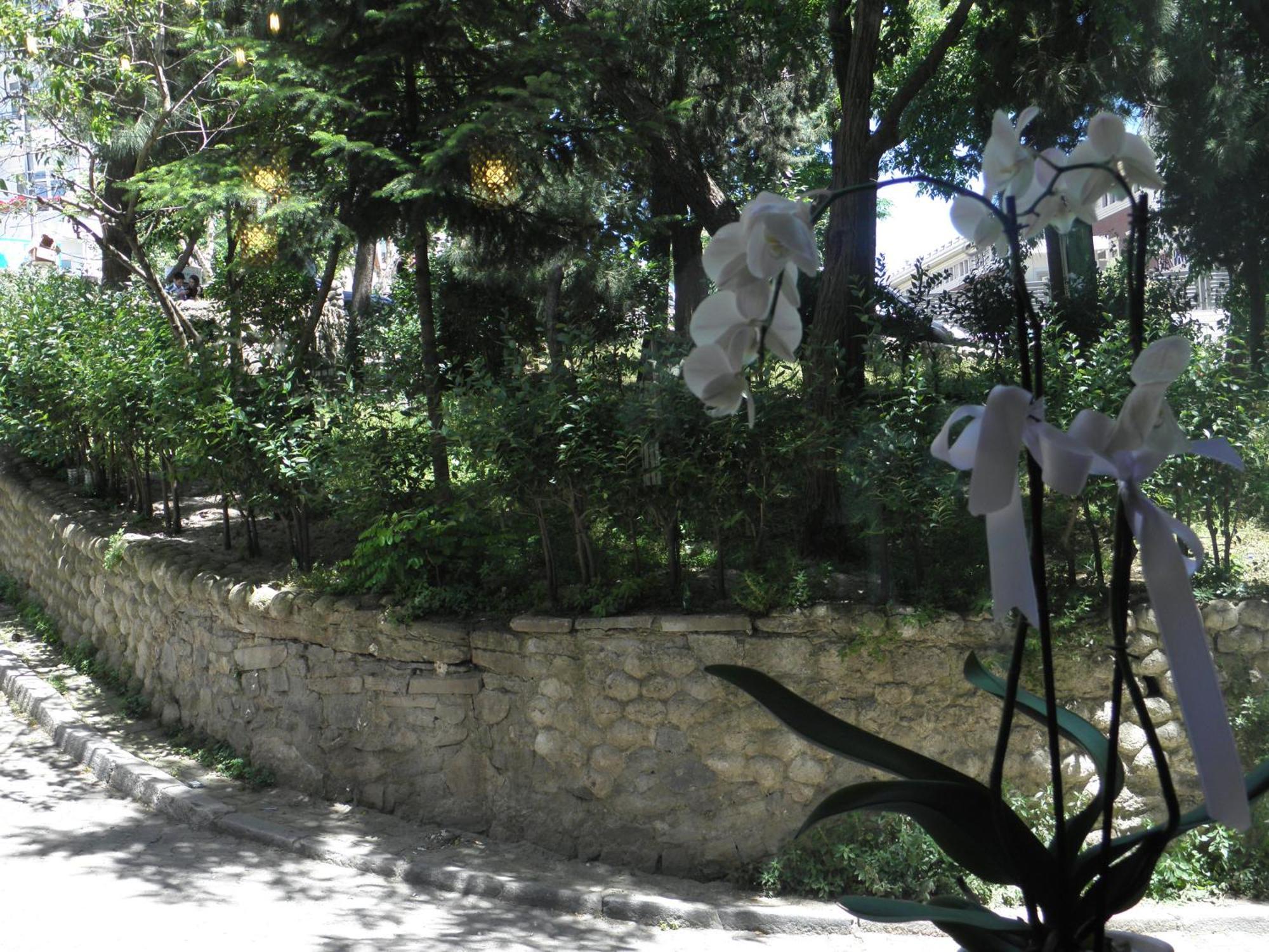 Omar Sultan Park Suites Istambul Exterior foto